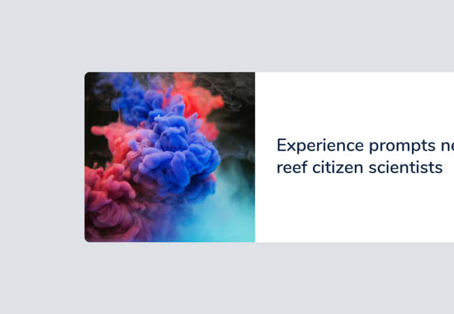 Card - Image Horizontal