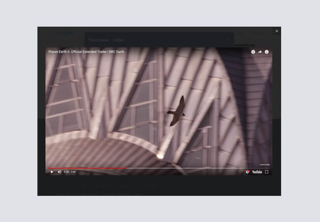 Fancybox - Video
